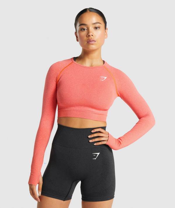 Damske Crop Top Gymshark Vital Seamless 2.0 Long Sleeve Oranžové | BA8947236